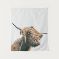 Majestic Highland cow portrait