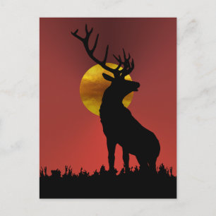 Majestic Horned Deer in Golden Sunlight Postcard