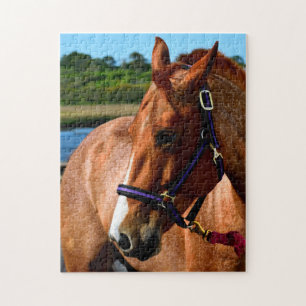 Majestic horse jigsaw puzzle