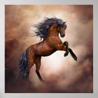 Majestic Horse Stallion Photo Nature Wall Poster