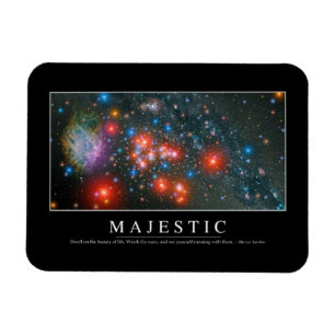 Majestic: Inspirational Quote Magnet