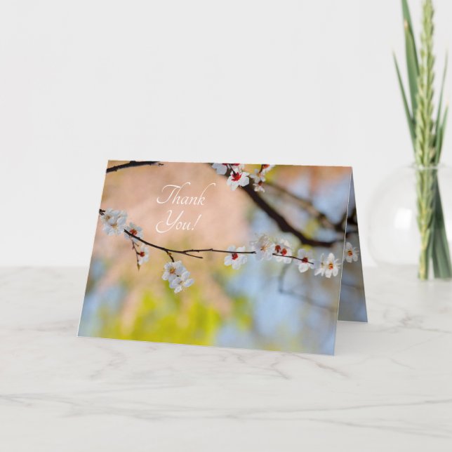 Majestic Japanese Apricot Flowers Thank You Card (Front)
