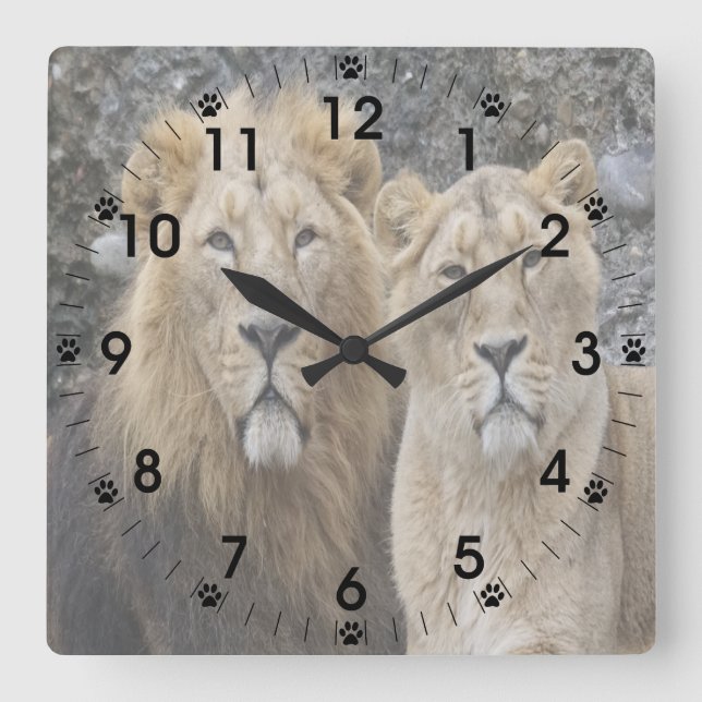 Majestic Lion Couple Square Wall Clock (Front)