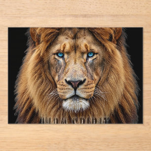 Majestic Lion Face with Blue Eyes   Wildlife Anima Acrylic Invitations