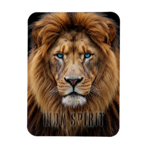 Majestic Lion Face with Blue Eyes   Wildlife Anima Magnet