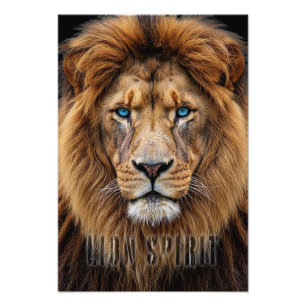 Majestic Lion Face with Blue Eyes Wildlife Anima Photo Print
