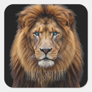 Majestic Lion Face with Blue Eyes Wildlife Anima Square Sticker