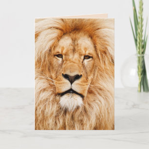 majestic lion greeting card