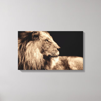 Majestic Lion in Profile Canvas Print