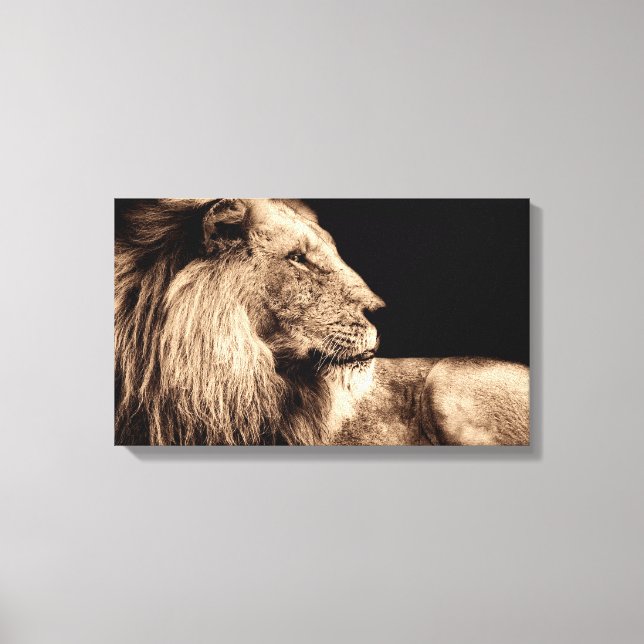 Majestic Lion in Profile Canvas Print (Front)