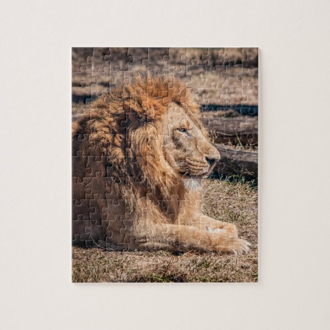 Majestic lion jigsaw puzzle (Vertical)