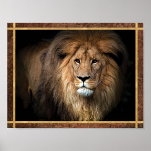 Majestic Lion Photo Poster