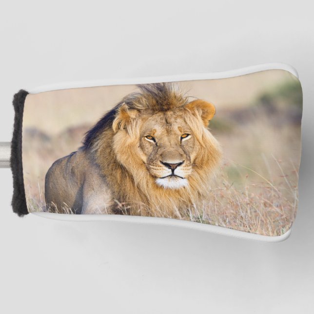 Majestic lion wild animal photo golf head cover (Front)