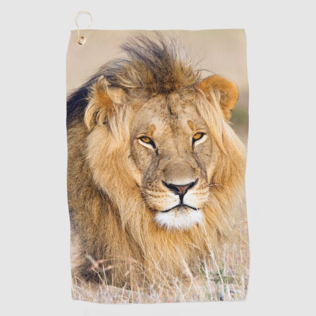 Majestic lion wild animal portrait photo golf towel (Front)