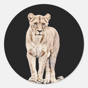 Majestic Lioness Classic Round Sticker