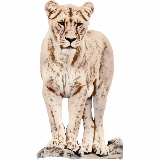 Majestic Lioness Standing Photo Sculpture (Front)
