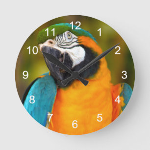 Majestic Macaw Round Clock