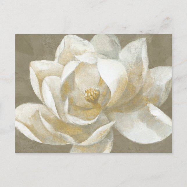 Majestic Magnolia Postcard (Front)