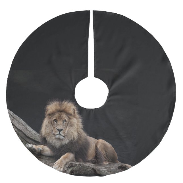 Majestic Male Lion Laying on Wood at the Zoo Brushed Polyester Tree Skirt (Front)