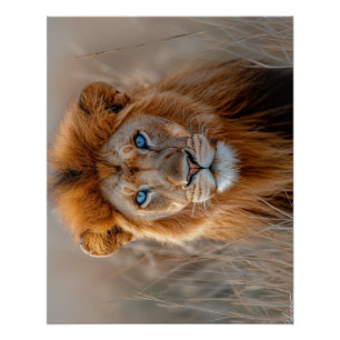 Majestic Male Lion with Glowing Blue Eyes Poster