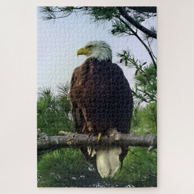 Majestic Mature Bald Eagle Perched in Tree Jigsaw  Jigsaw Puzzle (Vertical)
