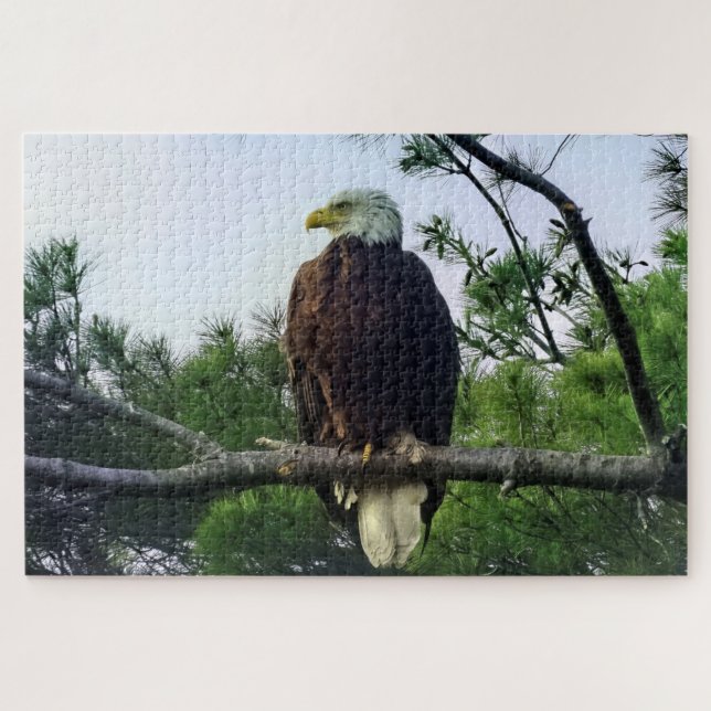 Majestic Mature Bald Eagle Perched in Tree Jigsaw Puzzle (Horizontal)