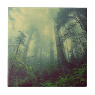 Majestic Misty Forest Tile