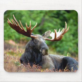 Majestic Moose Meadow Mouse Mat