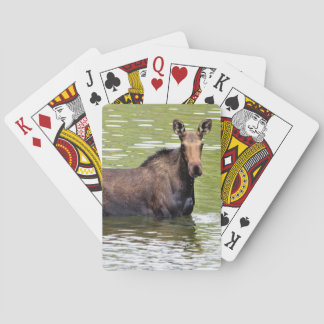 Majestic Moose Playing Cards
