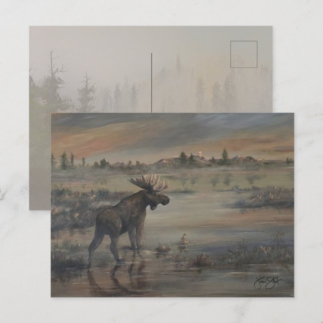 Majestic Moose Postcard (Front/Back)