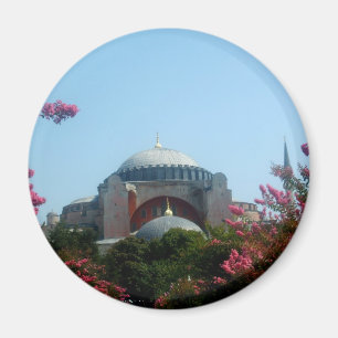 Majestic Mosque Magnet