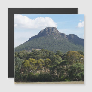Majestic Mount Sturgeon from Dunkeld Magnetic Card