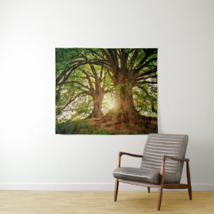 Majestic Old Oak Trees in Sunlit Forest Tapestry