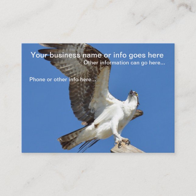 Majestic Osprey bird Business Cards (Front)