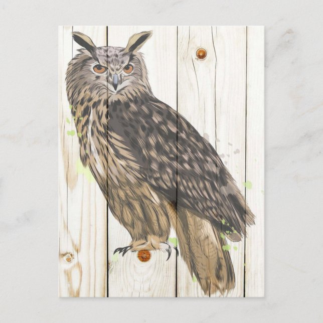 Majestic owl on faded wood planks postcard (Front)