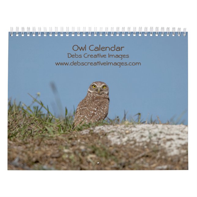 Majestic Owls of North America 2026 Calendar (Cover)