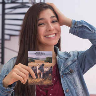 Majestic Pack of Aardwolf Standing in the Field Postcard
