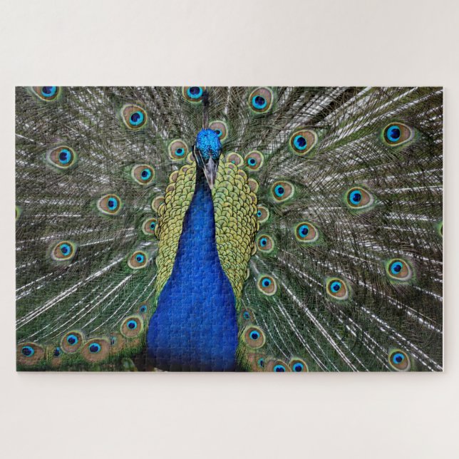 Majestic Peacock Magnet Jigsaw Puzzle (Horizontal)