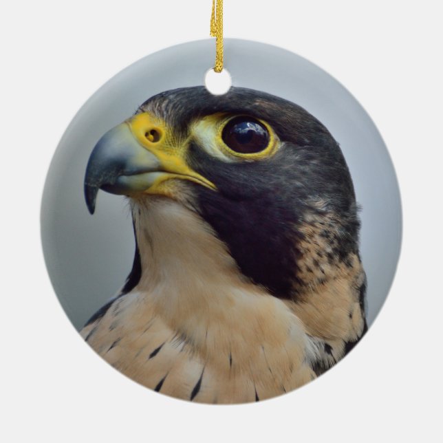 Majestic Peregrine falcon Ceramic Tree Decoration (Back)