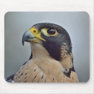 Majestic Peregrine falcon Mouse Mat
