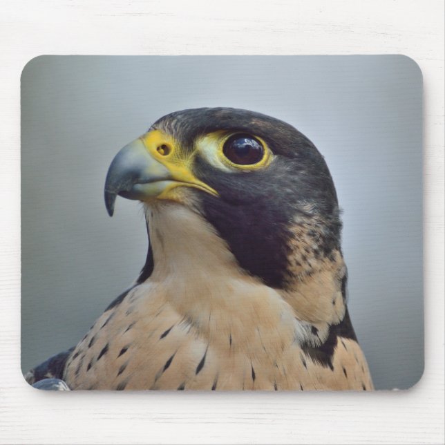 Majestic Peregrine falcon Mouse Mat (Front)
