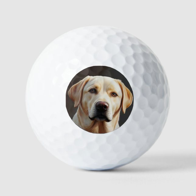 Majestic Realistic Labrador Retriever Oil Painting Golf Balls (Front)