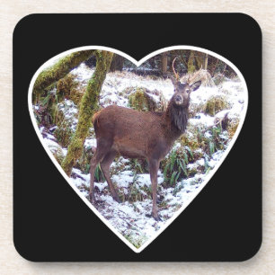 Majestic Red Deer Stag Snowy Winter Woodland Scene Coaster
