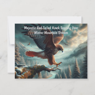 Majestic Red-Tailed Hawk Soaring Postcard
