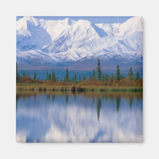 Majestic Reflections, Alaska Magnet