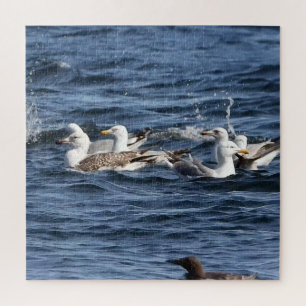 Majestic Seagulls Hunting Sand Eels Over Ocean Art Jigsaw Puzzle