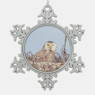 Majestic Snowy Owl of the Connecticut Coast Snowflake Pewter Christmas Ornament