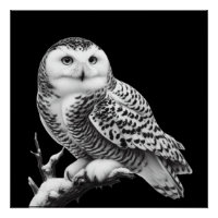 Majestic Snowy Owl Perched