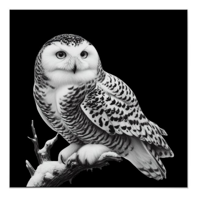 Majestic Snowy Owl Perched Poster (Front)