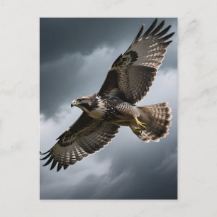Majestic Soaring Hawk Storm Clouds Postcard